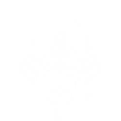 sword saint - inevitable death