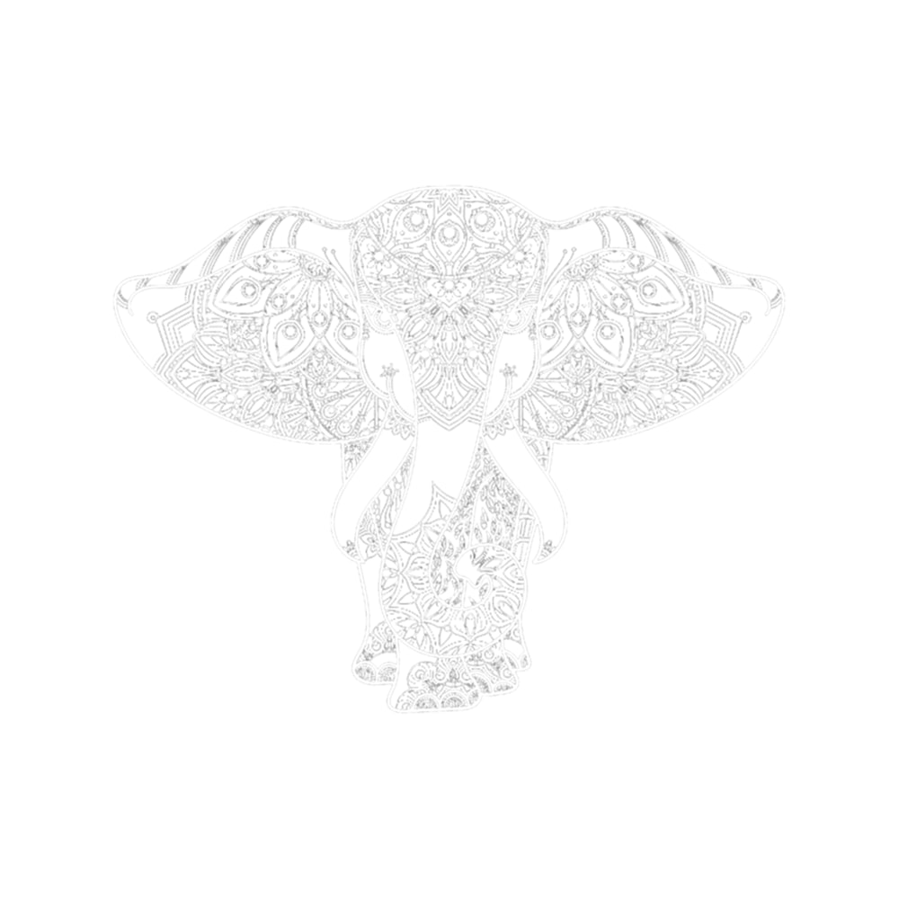 Elephant Big Ear .png