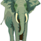 lovely elephant animal .png