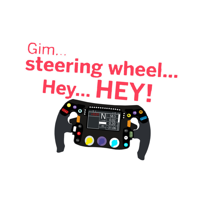 Kimi Raikkonen Team Radio .png