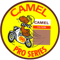 Camel racing .png