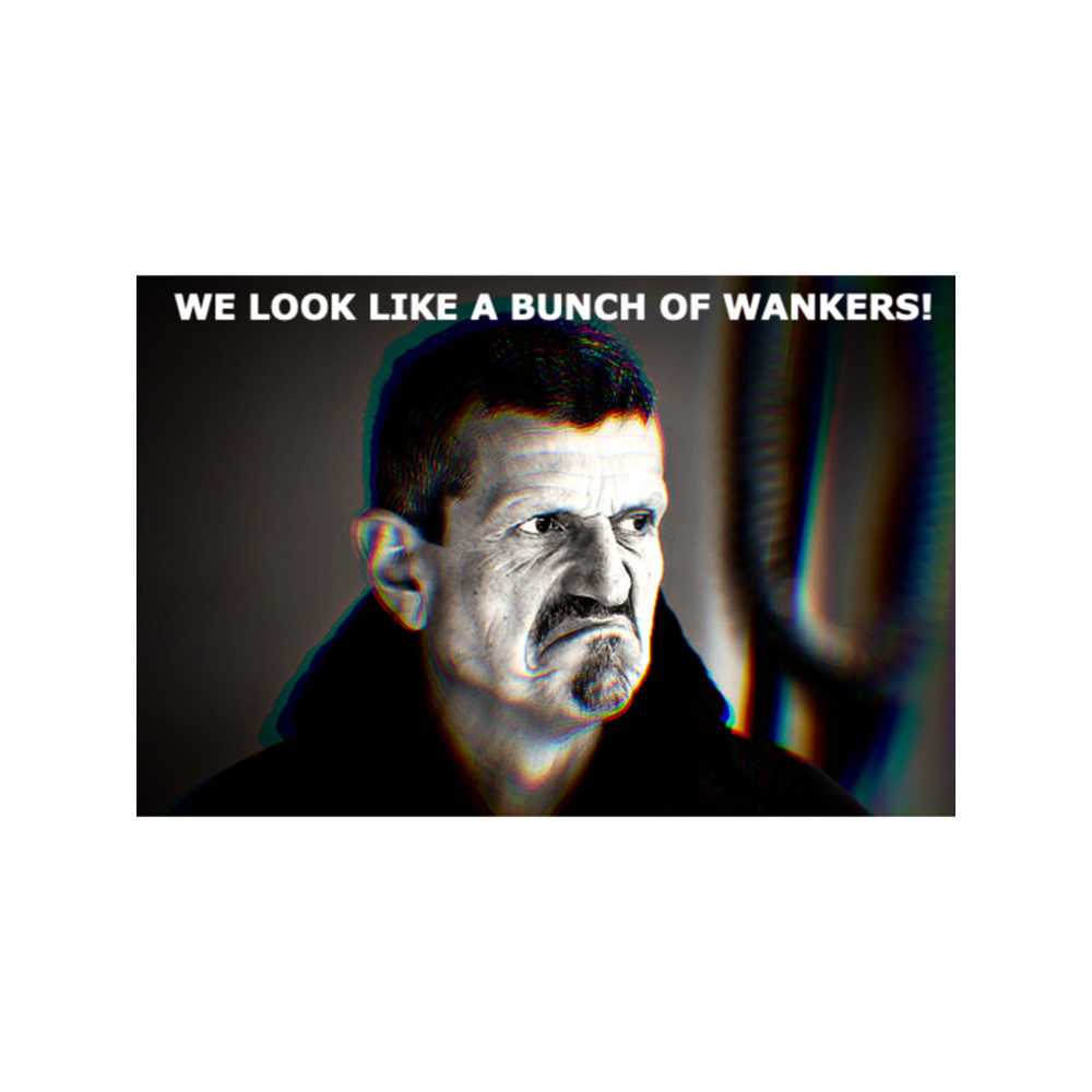 Guenther Steiner - Bunch of Wankers .png