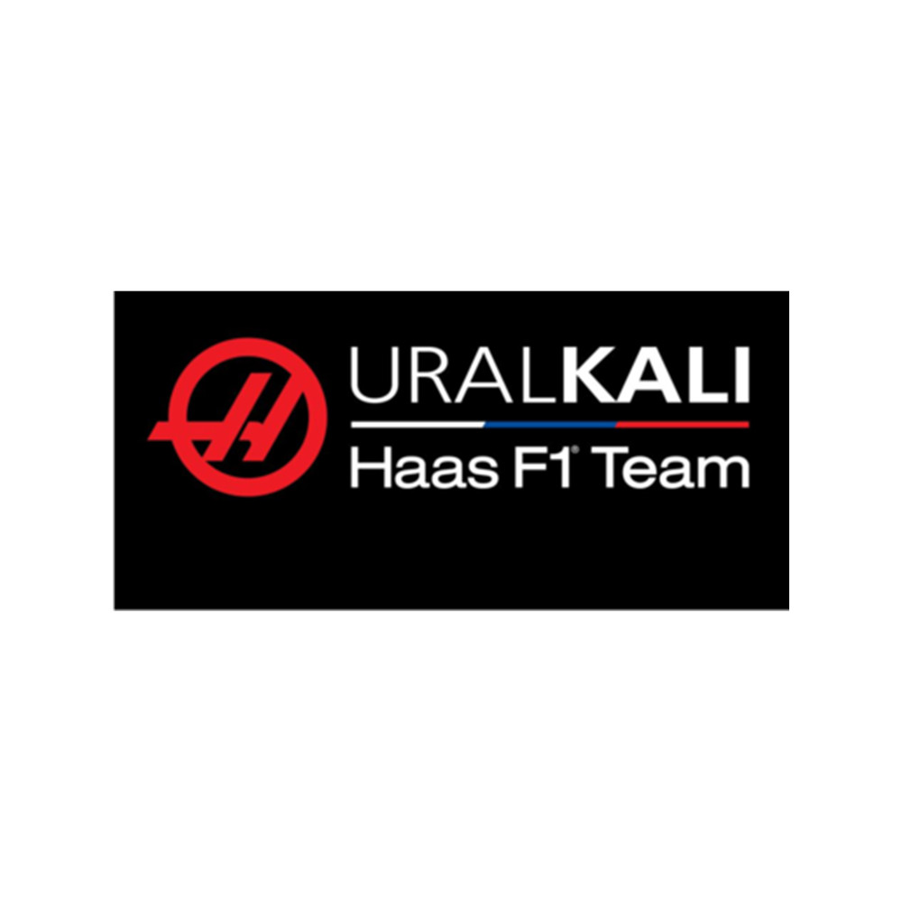 Haas F1 Team Logo 2021 .png