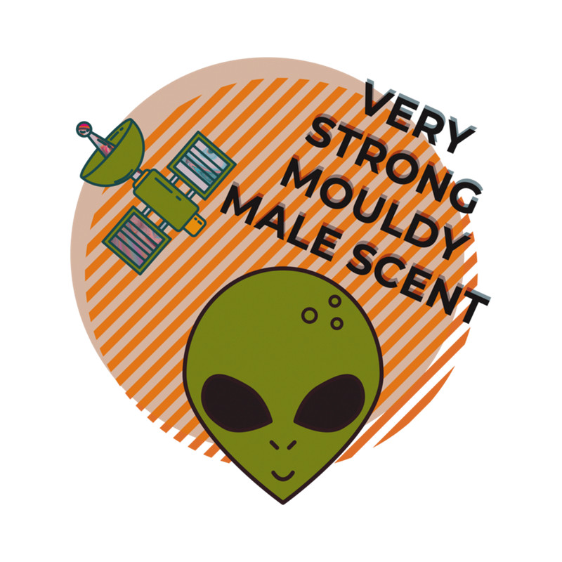 MALE SCENT - Surreal Alien Bad Translation Funny .png
