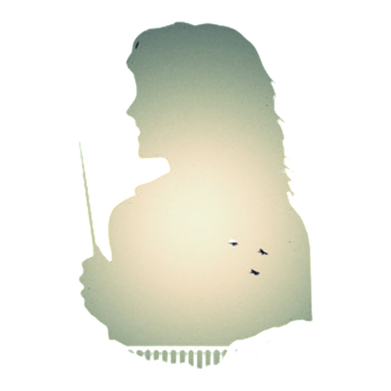 Female Wizard Magic Wand Silhouette .png
