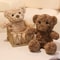 Brown Bear Plush Soothing Toy Lovely Curly Teddy Bear Doll Stuffed Toys Kids Girls Birthday Gift Ro 1