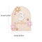 Double-Sided Wooden Baby Milestone Cards, Monthly Numbers, Floral Newborn Photography Props for Boys and Girls