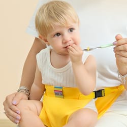 foldable child seat with strap and portable harness for baby dining