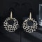 Geometric Leopard Print Circle Earrings Temperament Exaggerated Versatile Earrings Leopard Advanced 3