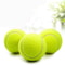 Tennis Training Game Ball Outdoor High Elasticity Tennis Professional Dogs Bite Chase And Chomp Ten 0