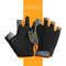 Fingerless Gloves, Shock Absorbing Sports Gloves, Anti Slip Gym Gloves, Breathable Training Gloves for Weight Cycling