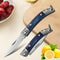Stainless Steel Mini Knife with Non Slip Handle, Household Kitchen Folding Pocket Knife, Multifunctional Fruit knife