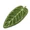 Tropical Leaf Bathroom Kitchen Towel Quick Dry Plant Towels Ultra Absorbent Hand Thumb Towel With H 0