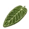 Tropical Leaf Bathroom Kitchen Towel Quick Dry Plant Towels Ultra Absorbent Hand Thumb Towel With H 0