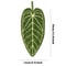 Tropical Leaf Bathroom Kitchen Towel Quick Dry Plant Towels Ultra Absorbent Hand Thumb Towel With H 5