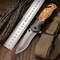Portable Folding Knife, High Hardness Multifunctional Fruit Knife, Outdoor Camping and Self-Defense Tool