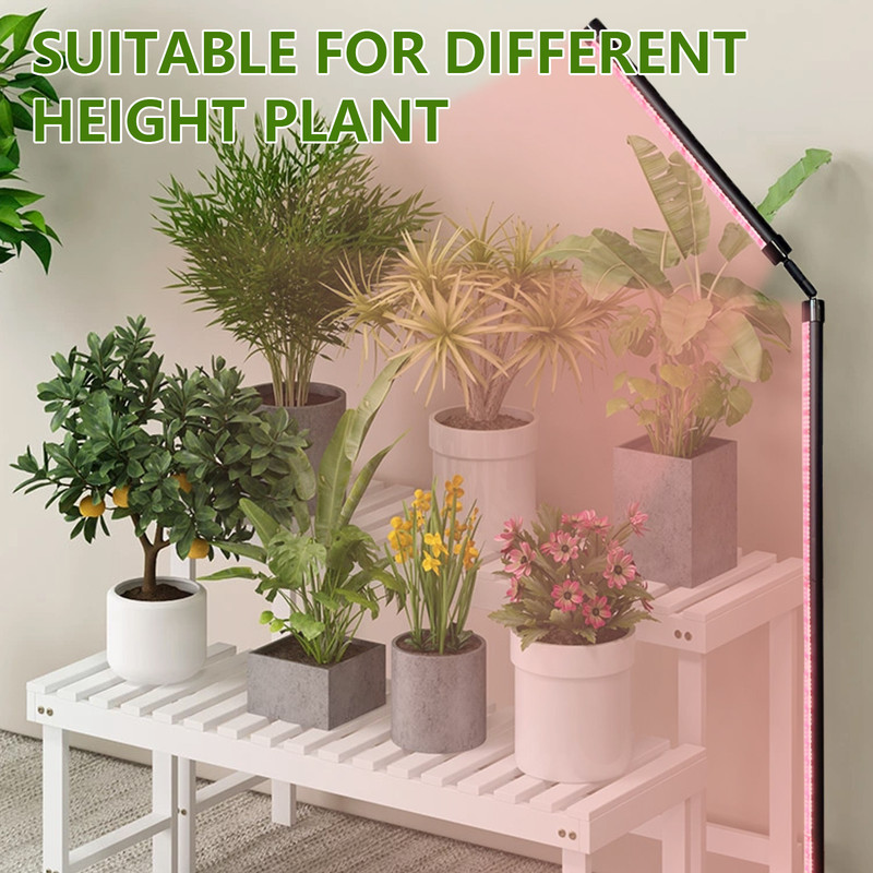 Indoor Plant Growth Lamp, Full Spectrum Seed Lamp with Timer and Three Color Dimmable Floor Lamp