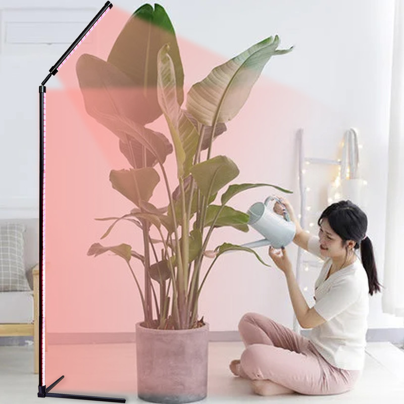 Indoor Plant Growth Lamp, Full Spectrum Seed Lamp with Timer and Three Color Dimmable Floor Lamp