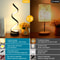 Dimmable Spiral LED Table Lamp, Color RGB Desk Light, Modern Minimalist Lamp for Bedroom and Office