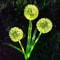 Festive SolarPowered LED Garden Light Solar Charging Dandelion Outdoor Lighting Decor 6