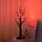 Birch Tree Lights Orange And Purple Illuminated Halloween Battery Powered USB Decor Black Branch T 5