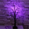 Birch Tree Lights Orange And Purple Illuminated Halloween Battery Powered USB Decor Black Branch T 0