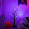 Birch Tree Lights Orange And Purple Illuminated Halloween Battery Powered USB Decor Black Branch T 4