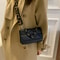 Trendy Small Purse with Chunky Chain,New Fashion Women Bag, Simple Casual Retro Shoulder Bag