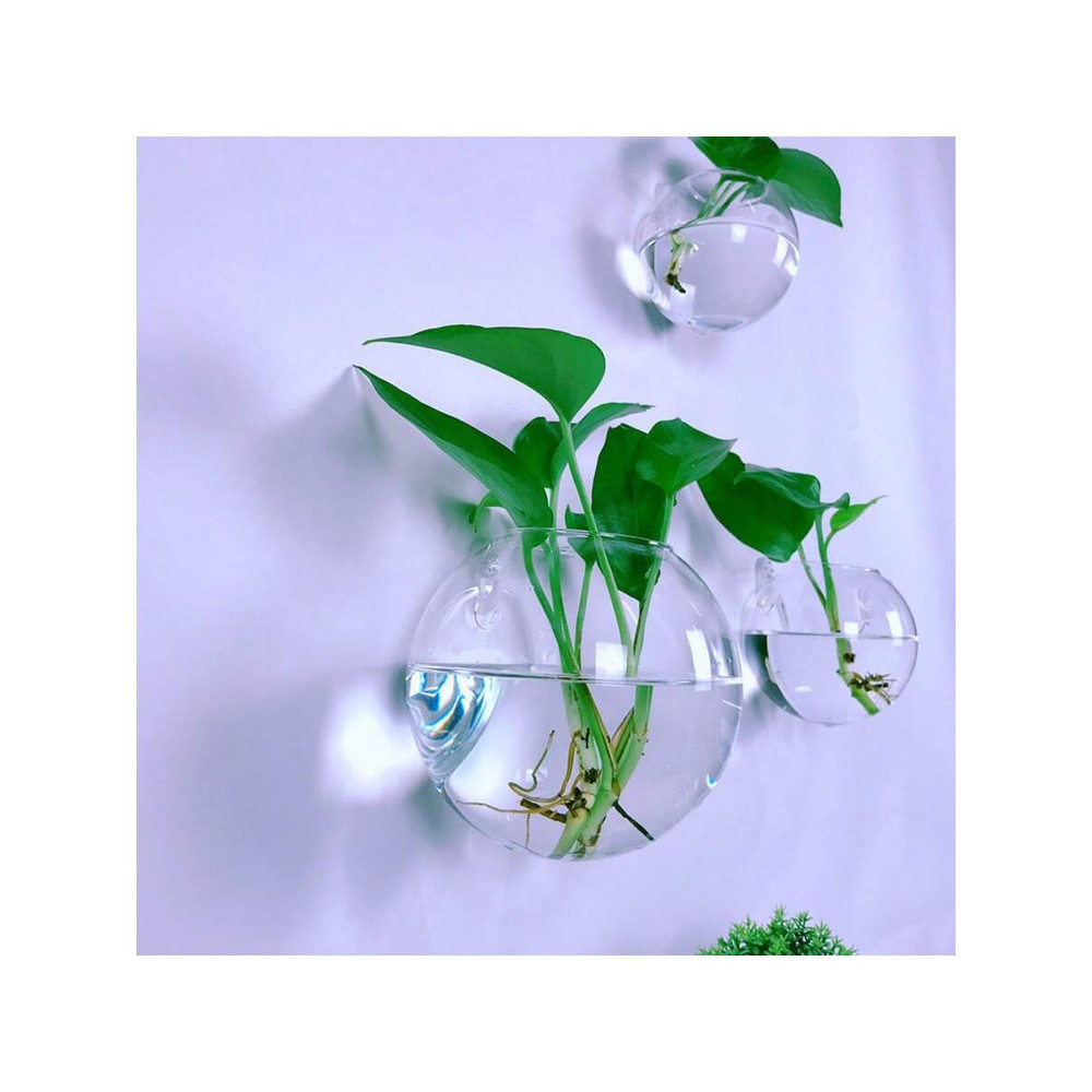Handmade Round Crystal Vase Wall Hanging Glass Terrarium Self Watering Hydroponic Planter Home Offi 3