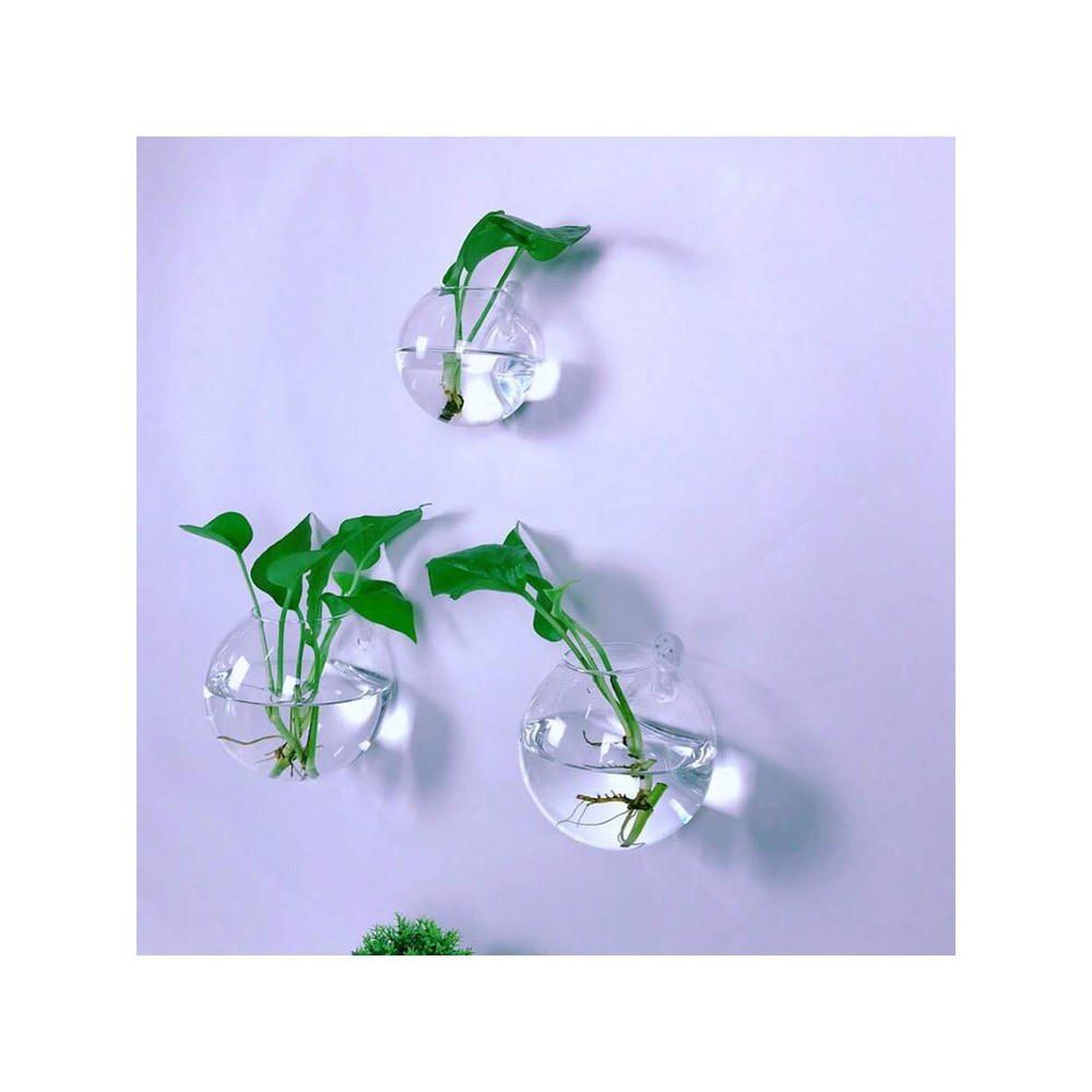Handmade Round Crystal Vase Wall Hanging Glass Terrarium Self Watering Hydroponic Planter Home Offi 4