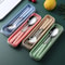 Transparent Cover Wheat Straw Tableware Set Outdoor Reusable Practical Cutlery Storage Bag Travel S 0