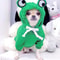 Cute Frog Pet Sweater Green Dog Hoodie For Small Dogs Fun Design Keep Your Pup Cozy And Stylish 0
