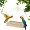 Outdoor Acrylic Bird Feeder Hanging Window Birdhouse For Backyard Wildlife 1