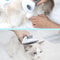 Automatic Pet Hair Removal Brush Stainless Steel Dog Hair Comb Cat Grooming Supplies 4