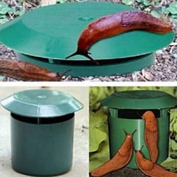snail house trap, garden snail cage, eco-friendly snail catcher for plants