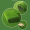 Fake Grass Lawn Carpet Artificial Plant Turf For Garden Landscaping 1