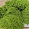 Fake Moss Artificial Green Moss For Potted Plants Fairy Garden Accessories Home Garden Lawn Floor O 0