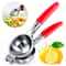 Hand Press Citrus Squeezer ExtraLarge Size Lemon Squeezer Heavy Duty Manual Stainless Steel Juicer 0