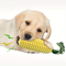 Tough Durable Squeaky Interactive Dog Toys, Puppy Teeth Chew Corn Stick Toy for Small Large Dogs
