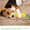 Tough Durable Squeaky Interactive Dog Toys, Puppy Teeth Chew Corn Stick Toy for Small Large Dogs