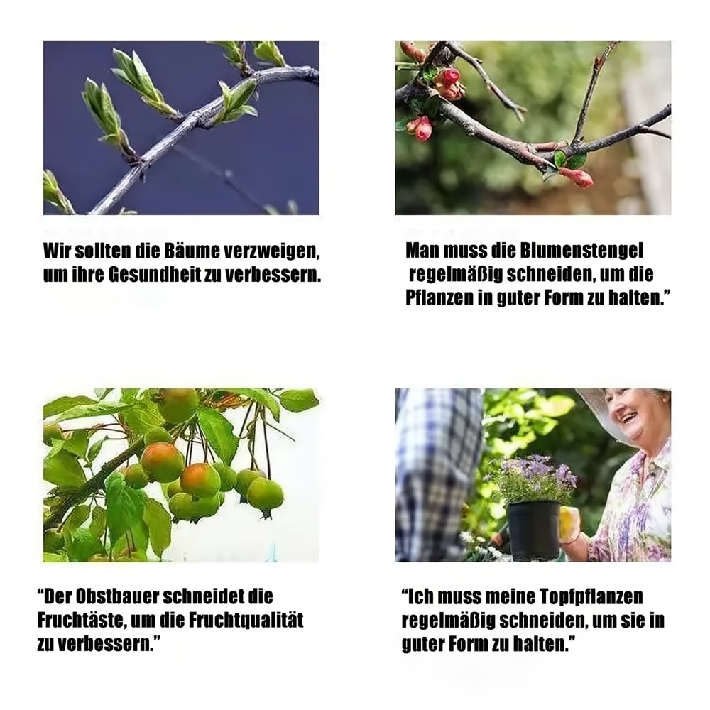 Ambidextrous Garden Clippers With Black Grip Heavy Duty Carbon Steel Shears Trimming Shears For Shr 2