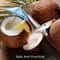 Portable Coconut Spatula Knife, Stainless Steel Coconut Opener with Ergonomic Handle