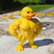Muscle Duck Statue Multifunctional Decor For Bookshelf And Desktop 0