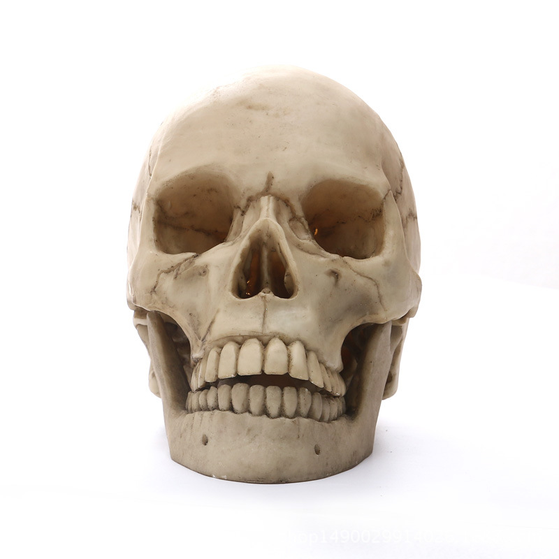 Human Head Skull Statue Resin Figurines for Medical Teaching Halloween Decor Crafts