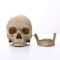 Human Head Skull Statue Resin Figurines For Medical Teaching Halloween Decor Crafts 2