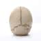 Human Head Skull Statue Resin Figurines for Medical Teaching Halloween Decor Crafts