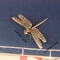 Vintage Brass Dragonfly Figurine Antique Home Office Decor 4