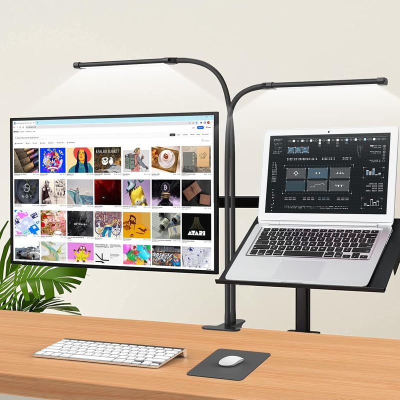 Clip-on Desk Lamp for Study, Lighting Modes, Flexible Gooseneck, Eye-Care Reading Lamp, USB Powered with Brightness