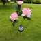 Waterproof Solar Garden Lights Head Peony Flowers For Yard Outdoor Lawn Decor Pathway Pink Lights 4