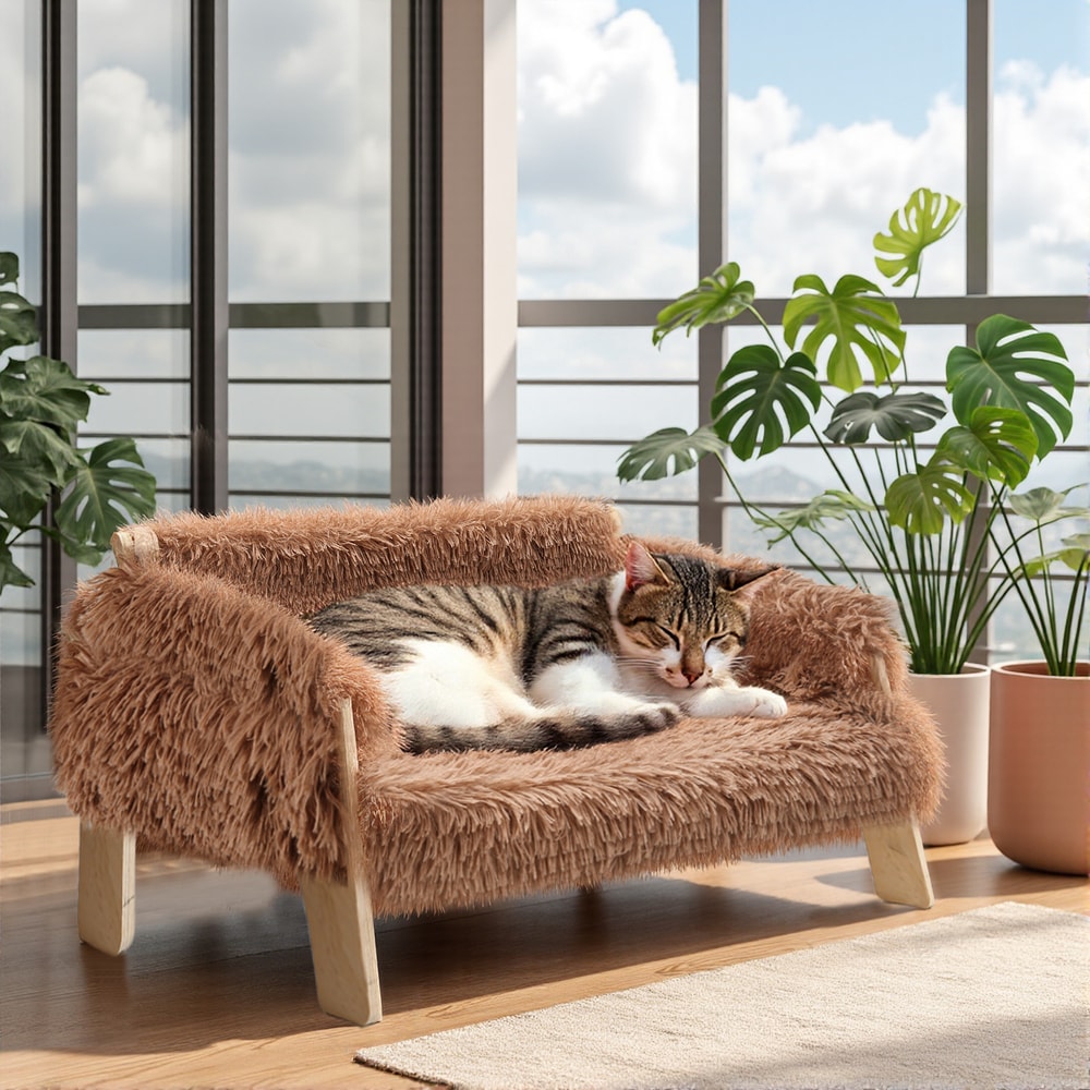 Raised Plush Cat Sofa Bed, Large Cat Bed with Sturdy Wooden Leg, Soft Couch for Indoor Cats and Kittens